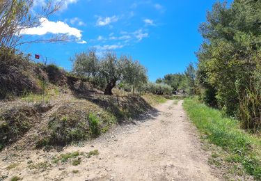 Tocht Stappen Clarensac - Clarensac - Photo