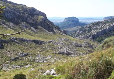 Trail Walking Escorca - MAJORQUE - Tossals Verds (SOLLER) - Photo