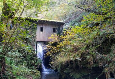 Tocht Stappen Baztan - Infernuko errota - le moulin de l'enfer 2024/02/20. - Photo