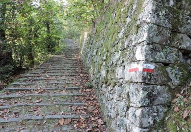 Tour Zu Fuß Riomaggiore - Campiglia - Fossola - S.P. 370 Litoranea - Photo