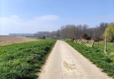 Percorso Marcia Tongeren - Promenade de la beauté cachée à Lauw  - Photo