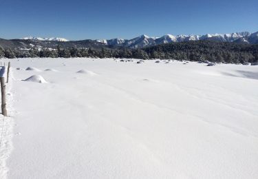 Excursión Raquetas de nieve Les Angles - Pla del mir lac d’aude bis  - Photo