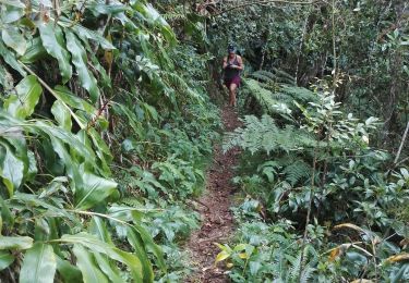 Tour Wandern Saint-Louis - Sentier découverte des Makes - Photo