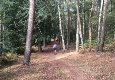 Trail Walking Durbuy - Weris adeps 2019 - Photo