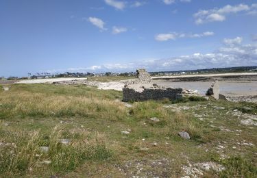 Trail Walking Pleumeur-Bodou - 2025-06-14 lpo ile grande - Photo