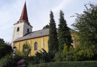 Tocht Te voet Světlá pod Ještědem - NS Karolíny Světlé - Photo