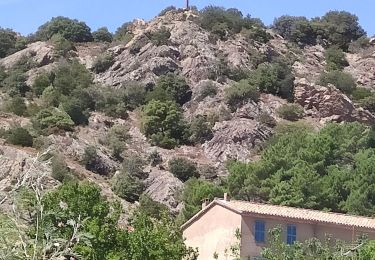 Trail Walking La Garde-Freinet - Boucle Garde-Freinet - Serre-Long - Photo