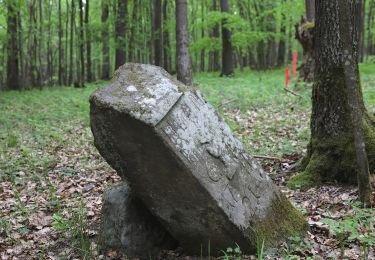 Trail On foot Bad Staffelstein - Terrainkurweg 5 Bad Staffelstein - Photo