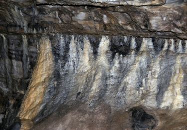 Percorso A piedi Altdorf bei Nürnberg - Wallenstein Rundwanderweg - Photo