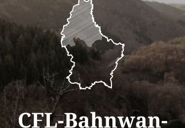 Excursión Senderismo Bourscheid - 2025-05-15_09h47m10_cfl-bahnwanderweg-9-goebelsmuehle-michelau - Photo