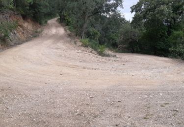 Randonnée Marche Pierrefeu-du-Var - la portaniere - Photo