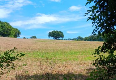Trail Walking Esneux - mery . hayen . hautgne . betgne . fontain . avionpuits . mery - Photo