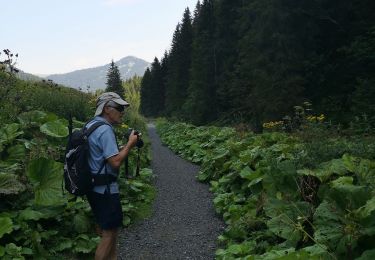 Tocht Stappen Troistorrents - they - Photo