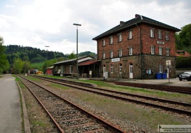 Randonnée A pied Freyung - Silberdistel - Photo