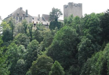 Tour Zu Fuß Gemeinde Ternitz - Stixenstein - Ödenhof - Photo