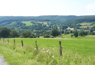 Excursión Ruta Érezée - Clerheid Wéris Fanzel - Photo