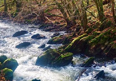 Tour Wandern Rochefort - Belvaux -  Les  Bouvreuils - Les rapides de la Lesse - Photo