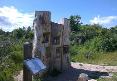 Percorso A piedi  - Ådalen - Photo