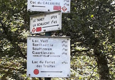Trail Walking Riedisheim - 2024 09 19 - Photo
