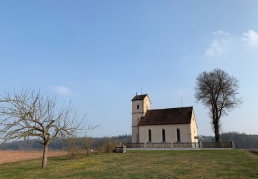 Percorso A piedi Aurach - Besinnungsweg Sonnengesang - Photo