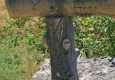 Percorso Marcia Haut Valromey - RETORD: LES BERGONNES - FERME DE RETORD - Photo