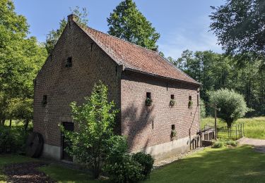 Tour Zu Fuß Bree - Solterheide Groene rechthoek - Photo