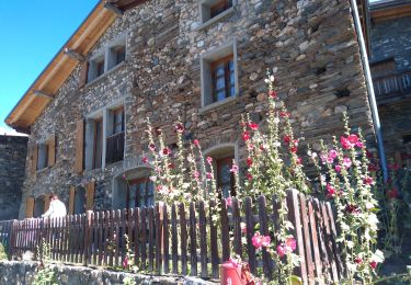 Excursión Bici eléctrica Les Deux Alpes - plateau d'Emparis  - Photo