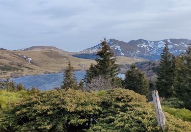 Tocht Stappen Orcival - CHAÎNE DES PUYS Guery / Roche Sanadoire et Tuilière - Photo