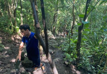 Trail Walking Le Diamant - Morne Larcher - Photo