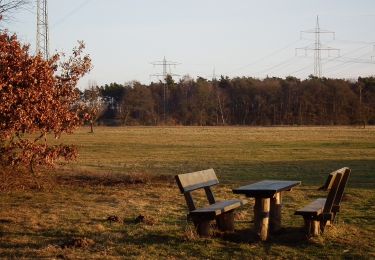 Randonnée A pied Inconnu - Dossenwald Rundweg Nr. 2 - Photo