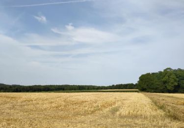 Trail Walking Essômes-sur-Marne - Crogis du 22-07-2023 - Photo