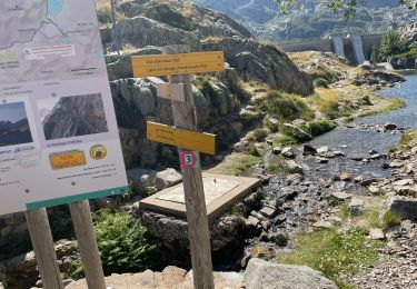 Trail Walking Laruns - Lacs Arremoulit et Arrious - Photo