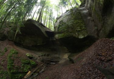 Tour Zu Fuß Kaisersbach - Ebnisee-Schmalenberg-Wieslauftal - Photo