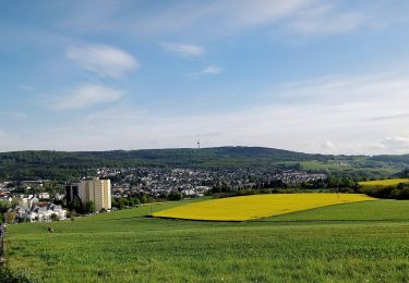 Tour Zu Fuß Taunusstein - Wingsbacher Rundwanderweg - Photo