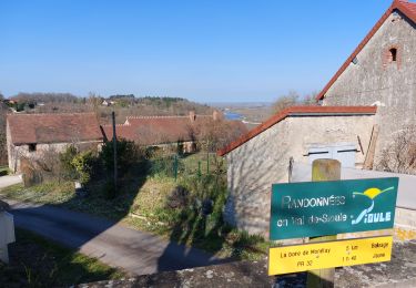 Trail Walking Monétay-sur-Allier - la boire de Monetay + l