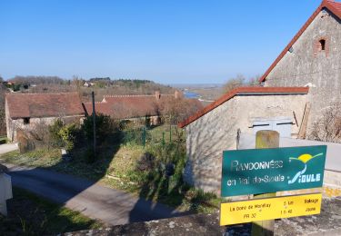 Tocht Stappen Monétay-sur-Allier - la boire de Monetay + l