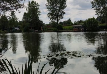 Tour Wandern Bornem - Randonnée autour du lac de Bornem  - Photo