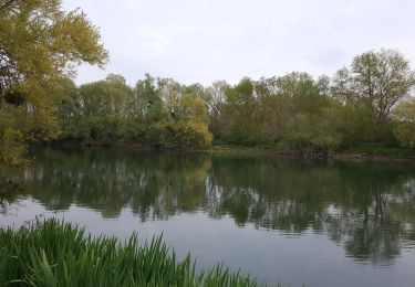 Percorso Marcia Courlon-sur-Yonne - 01 mai 21 - Photo