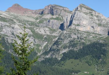 Percorso A piedi Ville d'Anaunia - IT-O339 - Photo