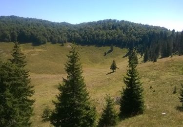 Tour Zu Fuß  - Šatorina iz Štirovače - Photo