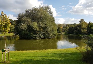 Tocht Stappen Bilzen - Bilzen - Photo