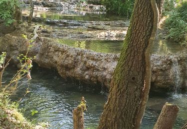 Percorso Marcia Méounes-lès-Montrieux - Le Gapeau au départ de Montrieux - Photo