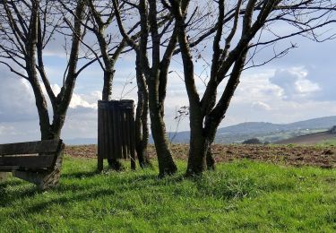 Tour Wandern Saint-Pardoux - St_Pardoux_Montatraux - Photo