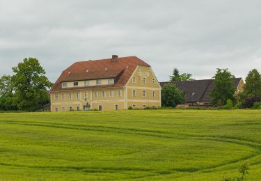 Tour Zu Fuß Oderwitz - Königsholz - Photo