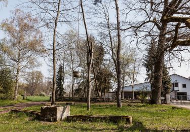 Randonnée A pied Gommersheim - Rundwanderung 3 Harthausen - Photo