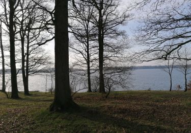 Randonnée V.T.T. Froidchapelle - Tour du lac de la Plate Taille - Photo