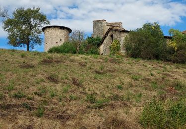 Trail Walking Montayral - Perricard le patrimoine - Photo