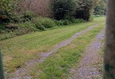 Percorso Marcia Aiseau-Presles - roselies - Photo