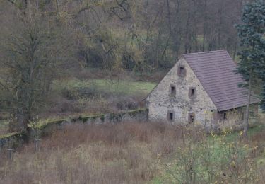 Trail On foot Lauterbach - Bachtour Lauterbach - Photo