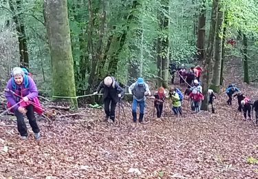 Tocht Stappen Bar-sur-Seine - Bar chapelle 12,4km le 14/10/2020 - Photo